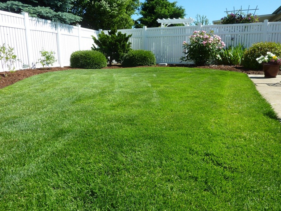 this image shows vinyl fence in Rancho Cordova, California